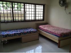 pending-road photo thumbnail #16